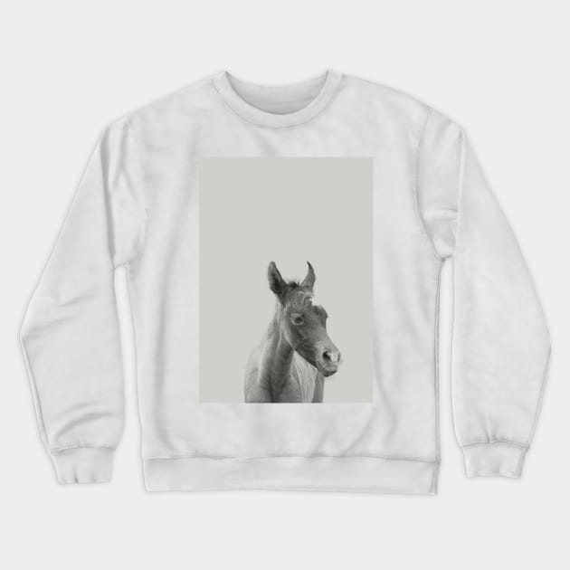 Foal 04 Crewneck Sweatshirt by froileinjuno